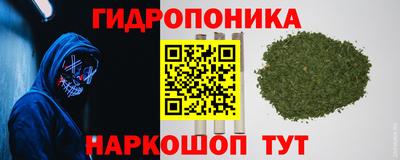 прущие крисы Кизляр