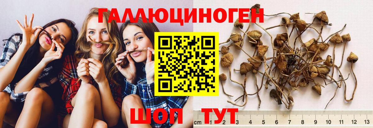 Минусинск  Галлюциногенные грибы Magic Shrooms  Галлюциногенные грибы мицелий  где можно купить наркотик  Вход с VPN 
